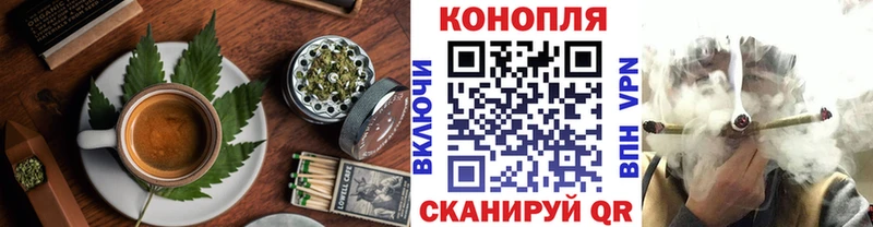 Canna-Cookies марихуана  Купить закладки  Нефтегорск 