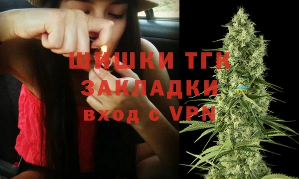 гашик Балахна
